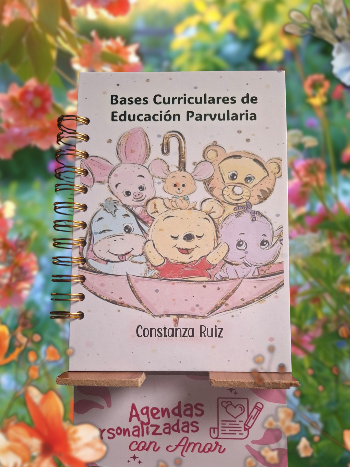 Bases curriculares