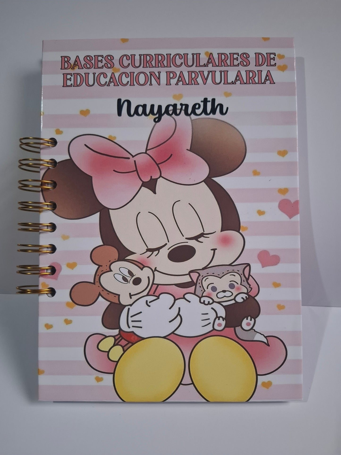 Bases curriculares