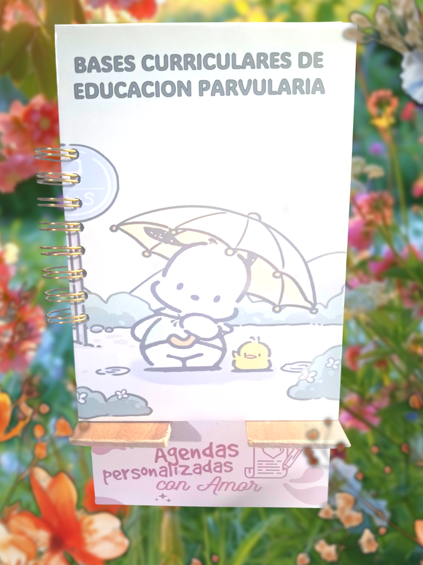 Bases curriculares