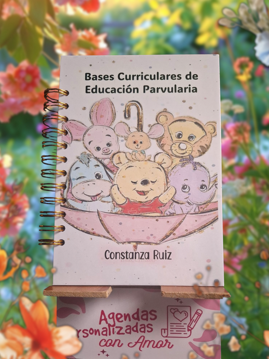 Agenda BASES CURRICULARES DE LA EDUCACION PARVULARIA