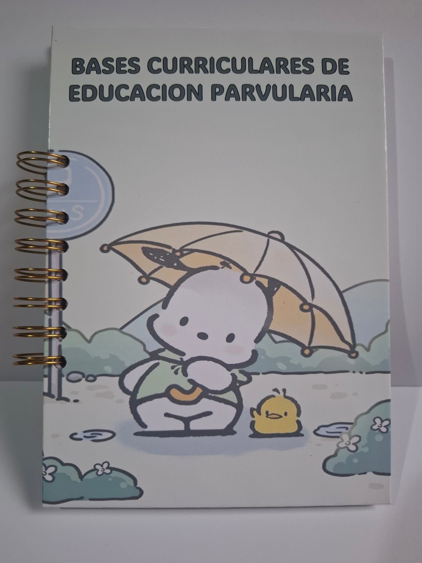 Bases curriculares